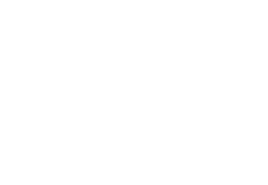 Cachalote Digital